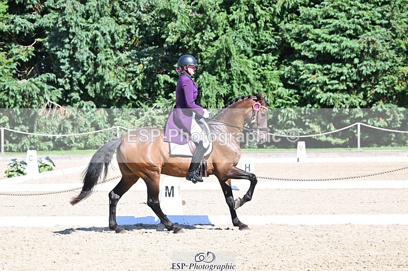 240811-154530-06841 - Inter I Silver