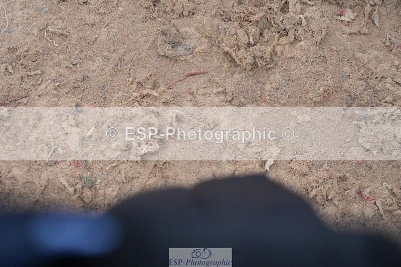 260315-132818-06279 - Cls 36 1.05m Amateur Quali