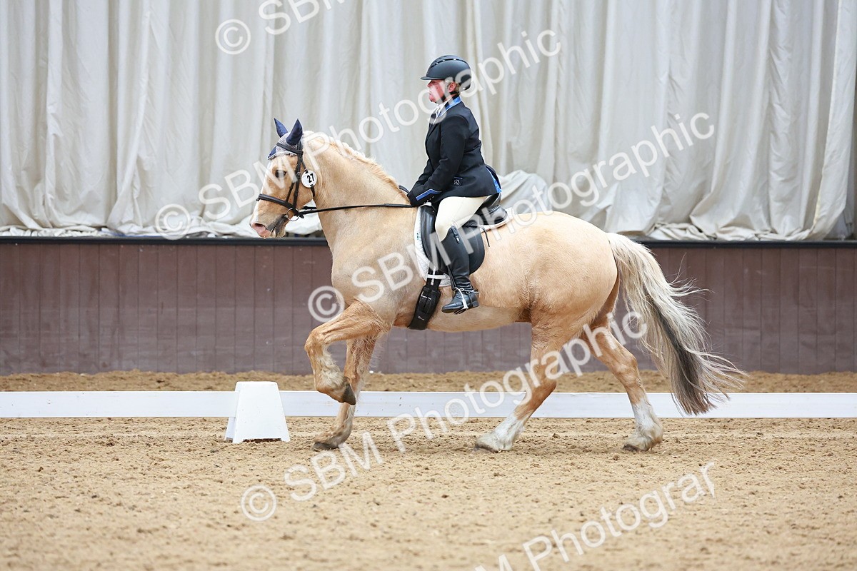 SBM_001087 - Class 5 - Novice 1