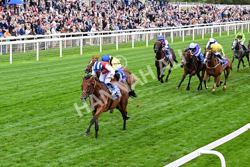 210826-Race 1-Blue Courvoisier-0085 - Race 1 13.50pm Sky Bet Mile Handicap