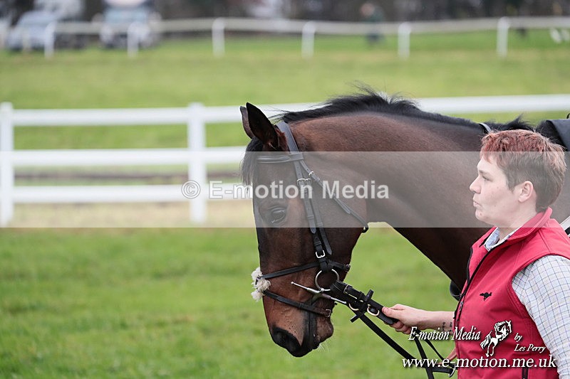 PtP 011224 9 - Hursley Hambledon Point-to-Point Larkhill 01/12/24