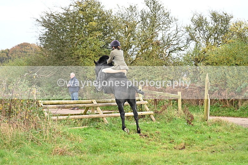 WJ7_0373 - Camera 1 & Last fence