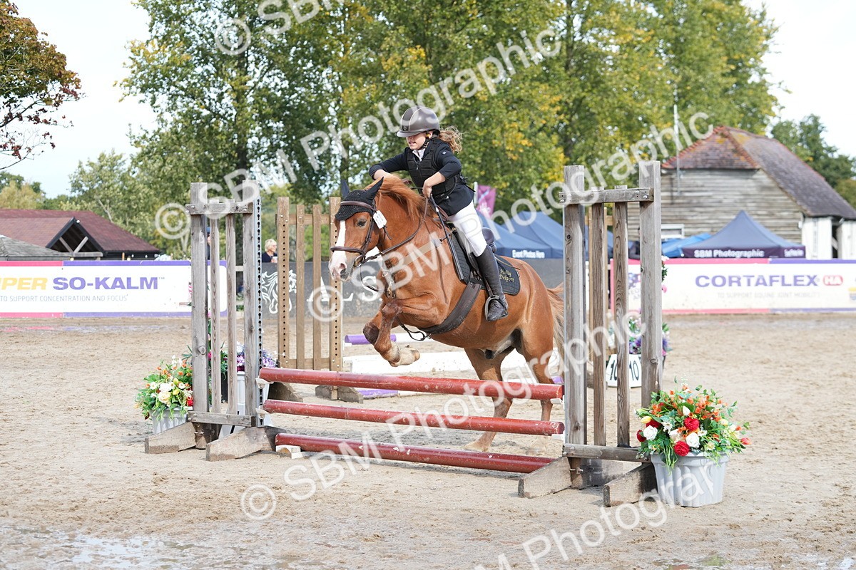 SBM_39619 - J6 - Junior Pony 55cm Championship