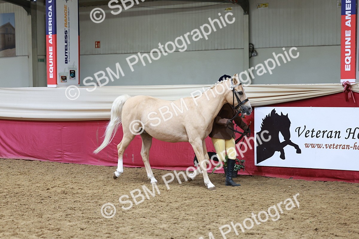 SBM_17398