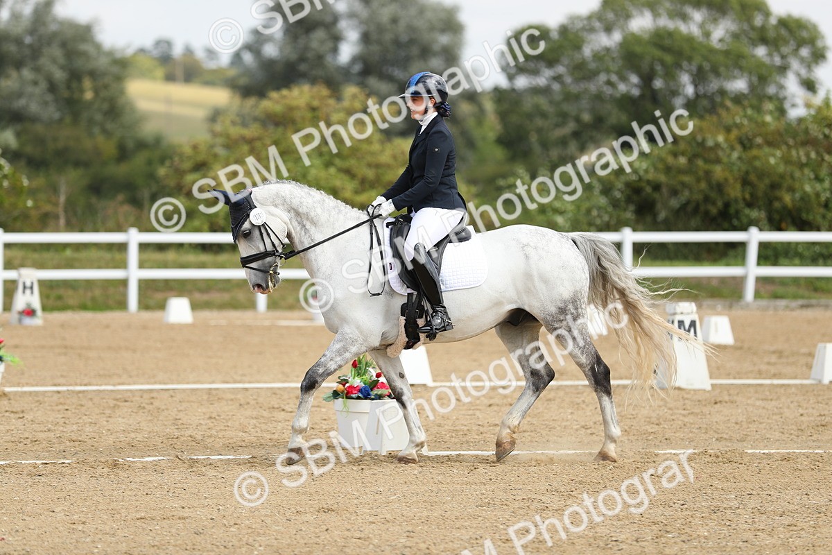 SBM_016404 - Class 13 - Novice 23 - 11.25-12.35