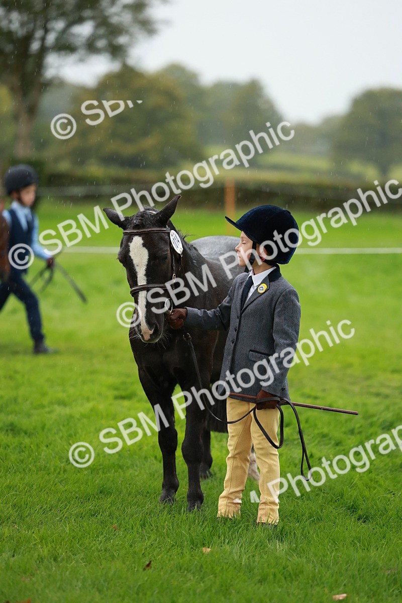 SBM_34885 - S10 - Best In Hand Horse & Pony