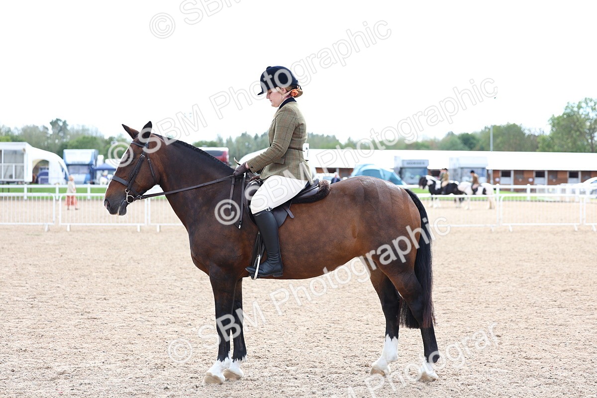 SBM_15821 - Class 314 - Family Horse - Pony