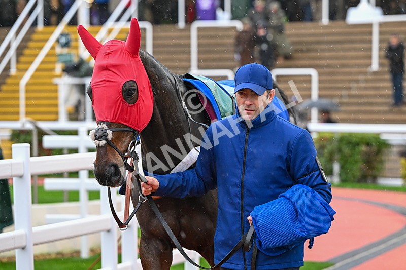 141125-Race 4-Haddex Des Obeaux-0157 - Race 4