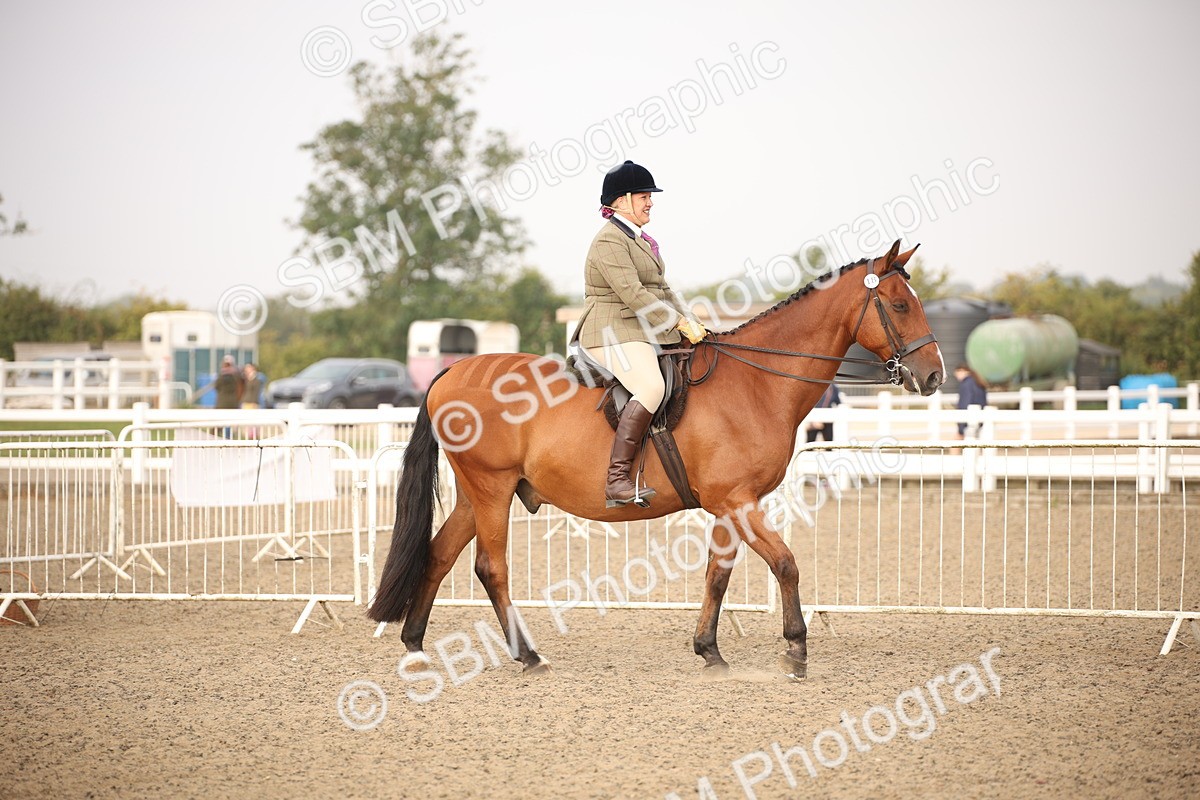 SBM_10192 - Class 402 Riding Club Horse