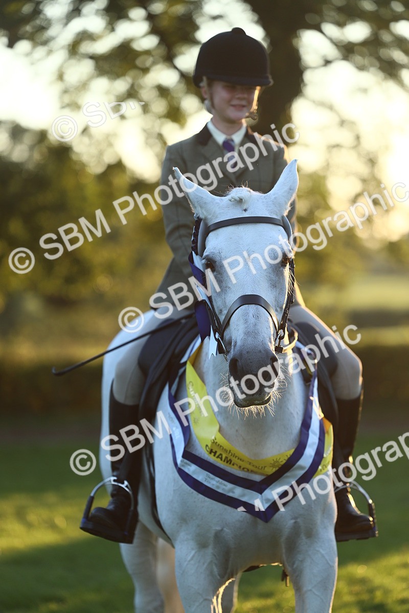 SBM_56670 - Fun & Versatile Supreme Championship