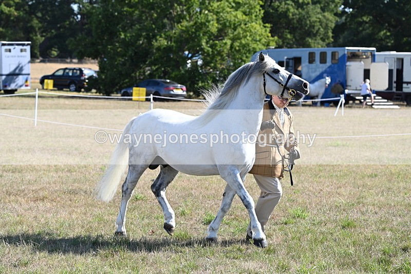 WJ6_4221 - Class 16 Condition & Turn Out