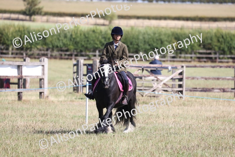 20260906-2173 - Class 16 - Family Pony