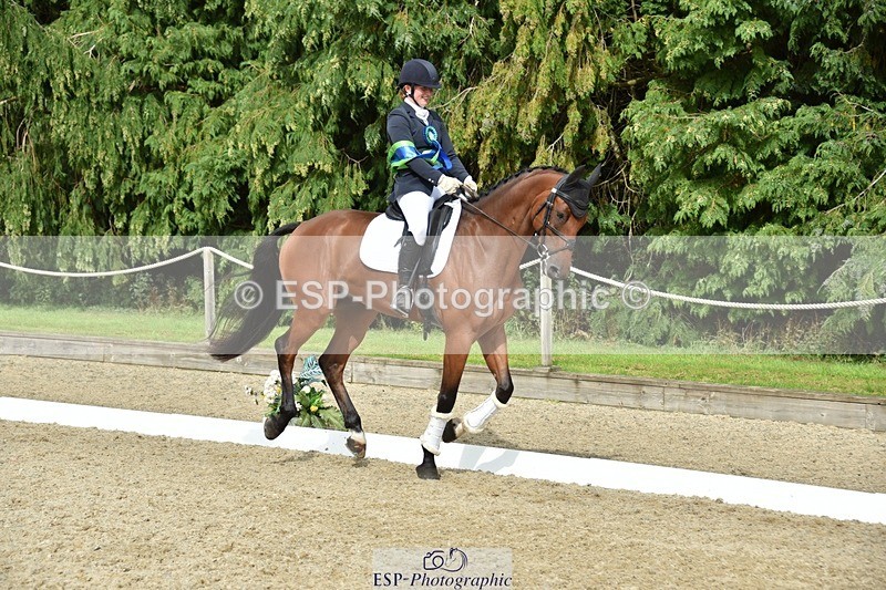 230812-160926-05433 - Novice Bronze Presentations