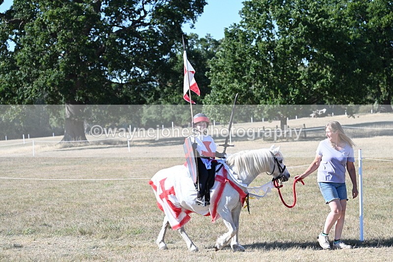 WJ7_2341 - Class 45 Fancy Dress (My Fav)