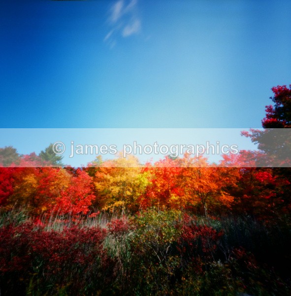 601219230005 - Pinhole Photography