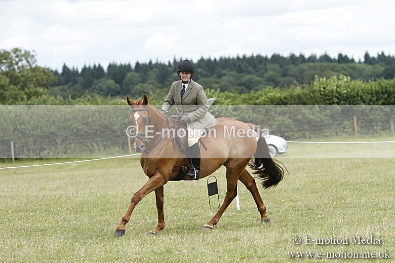 BVR160717-2239 - Ring 3 BVRC Show 16/07/17