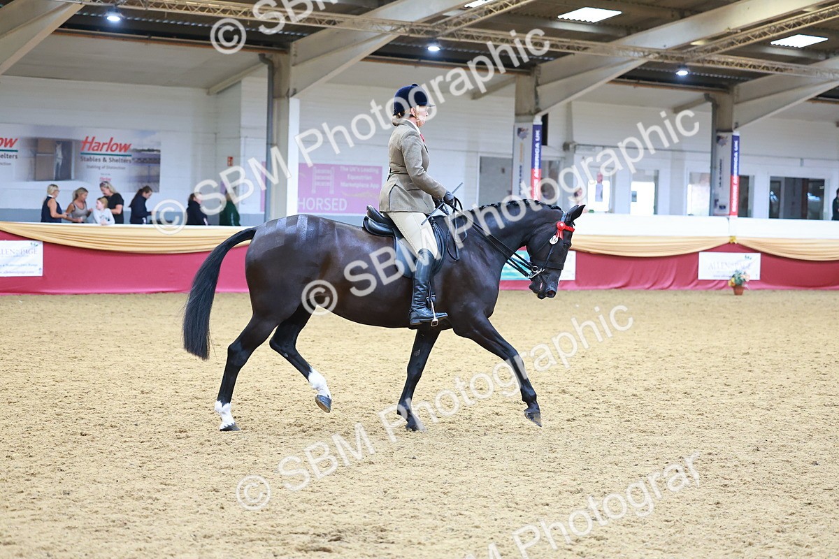 SBM_06288 - Class 12R - Ridden Pre-Vet