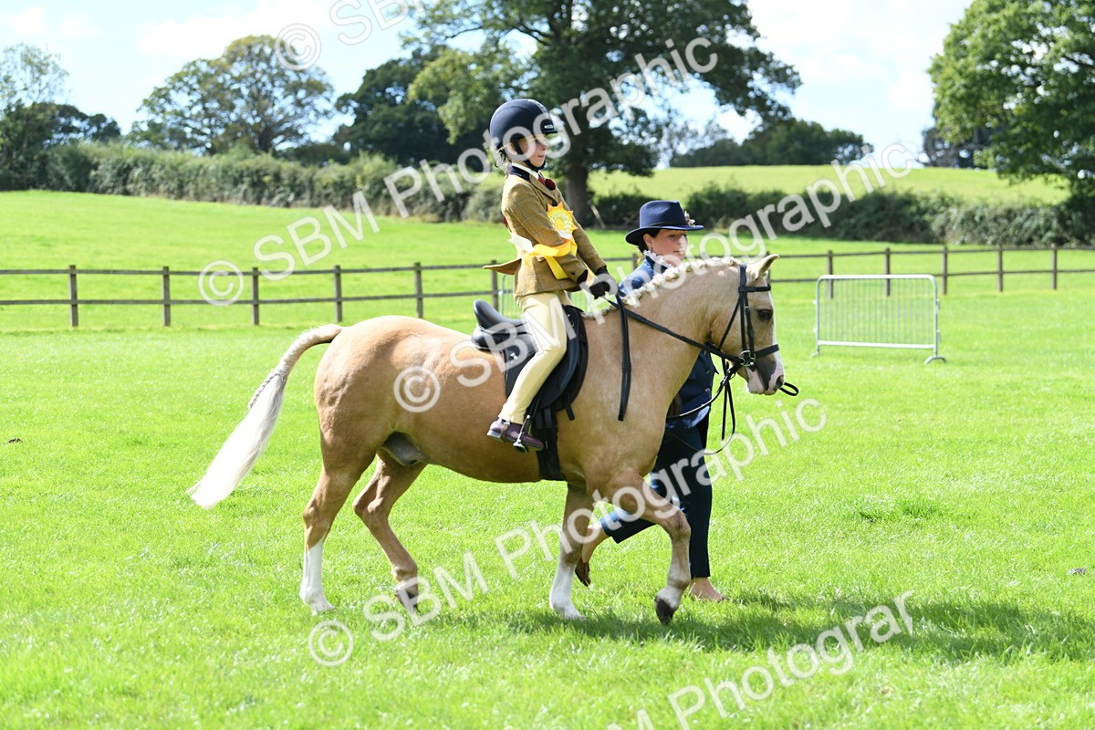 SBM_41293 - S19 - Lead Rein Show & Show Hunter Pony