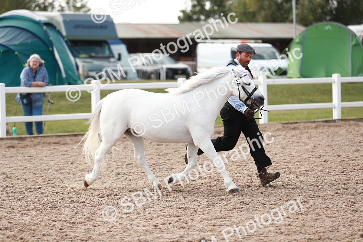 SBM_13834 - Class 209 IH Veteran Pony