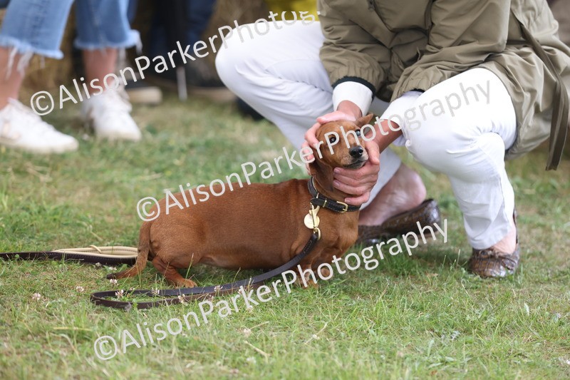 20250607-0475 - Best in Show