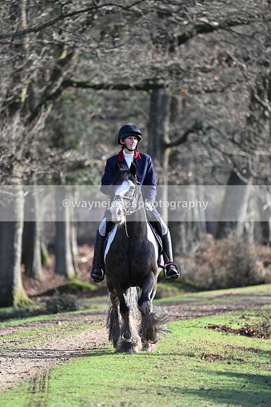 WJ7_7786 - Line 3 (no line 4 or 5)