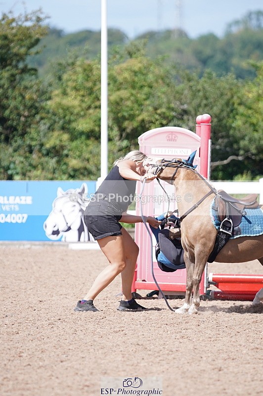 240809A-113354-00782 - Showjumping Competition