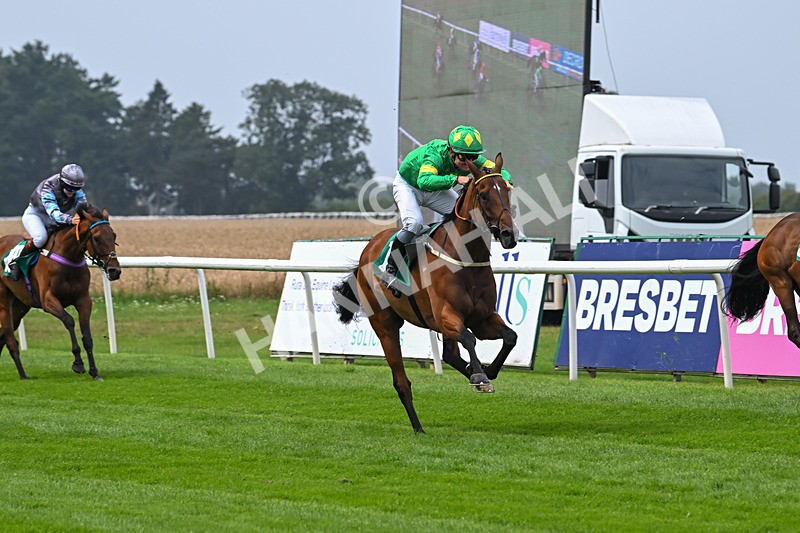 250725-Graham Lee IJF Stable Staff Stakes-E-3857 - The Graham Lee IJF Fund Stable Staff Stakes