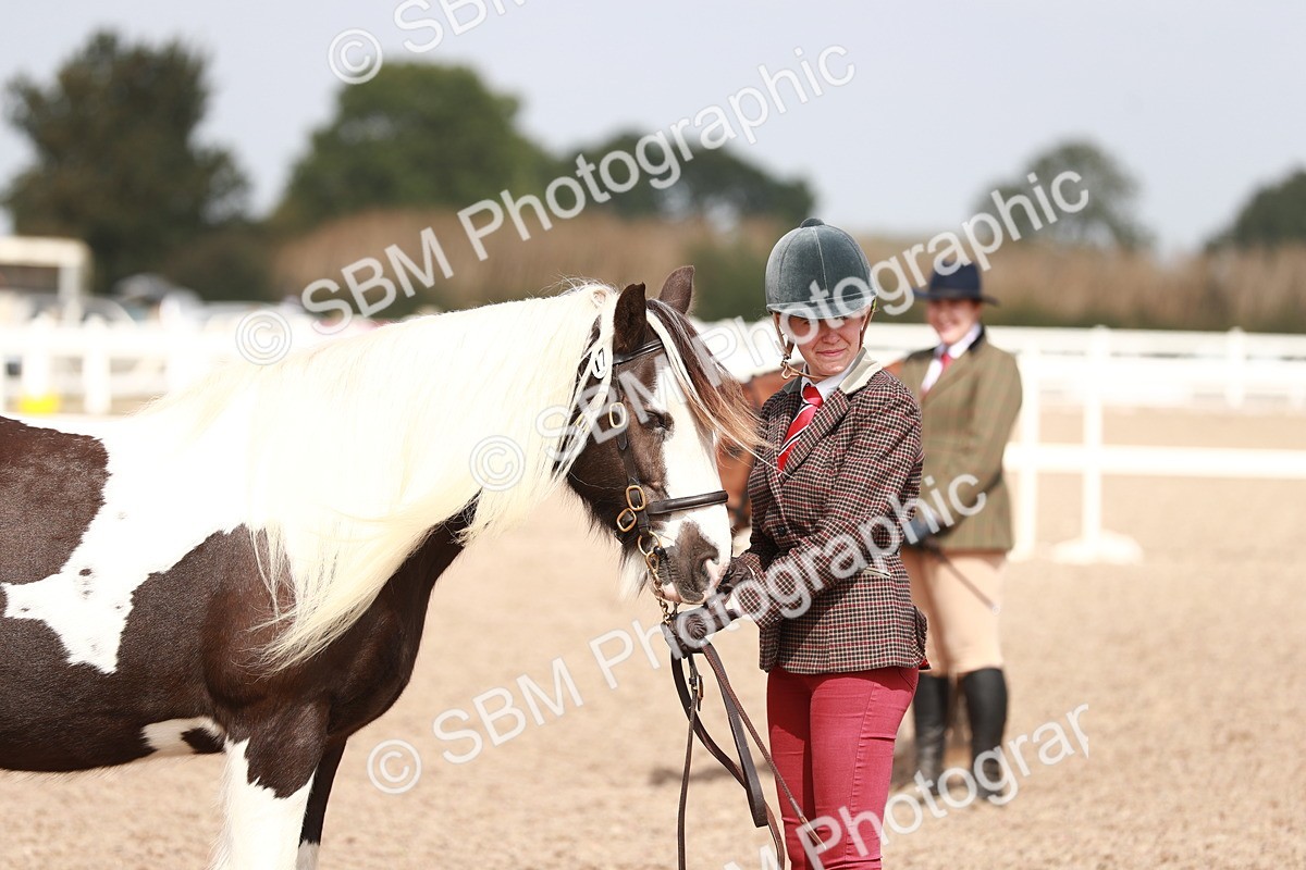 SBM_13898 - Class 209 IH Veteran Pony