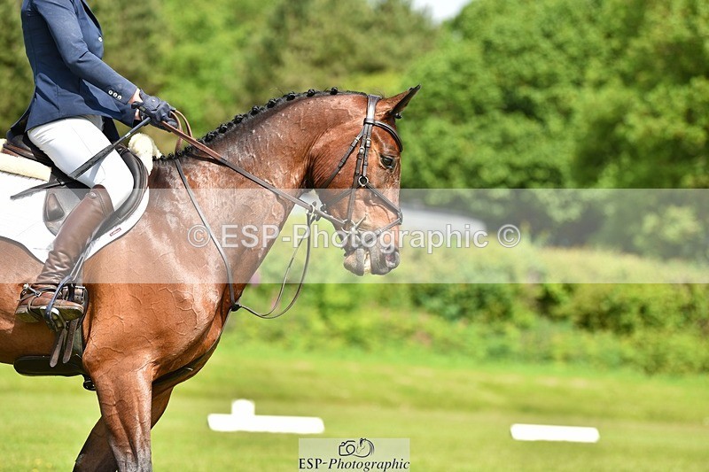 240523B-112252-01950 - 5 Year Old