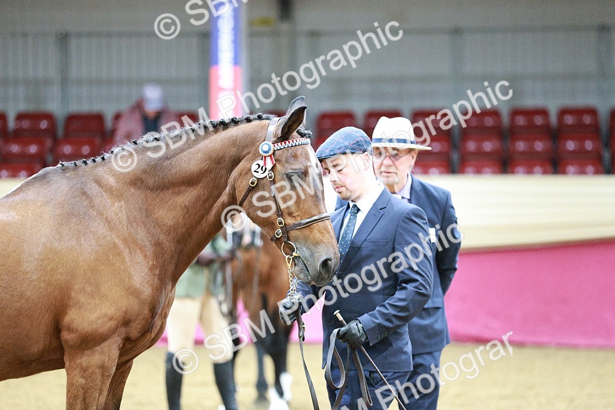 SBM_00252 - Class 1A - Area IH Diamond