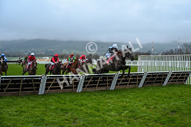 131224-Race 7-Long Draw-0193 - Race 7