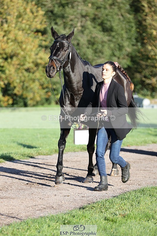 241027-085554-14902 - 463-Ilaria.Serra-FOXBURY.STORMBORN