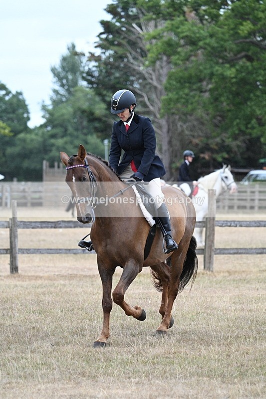 WJ7_0863 - Class 7 Riding Club Show Horse