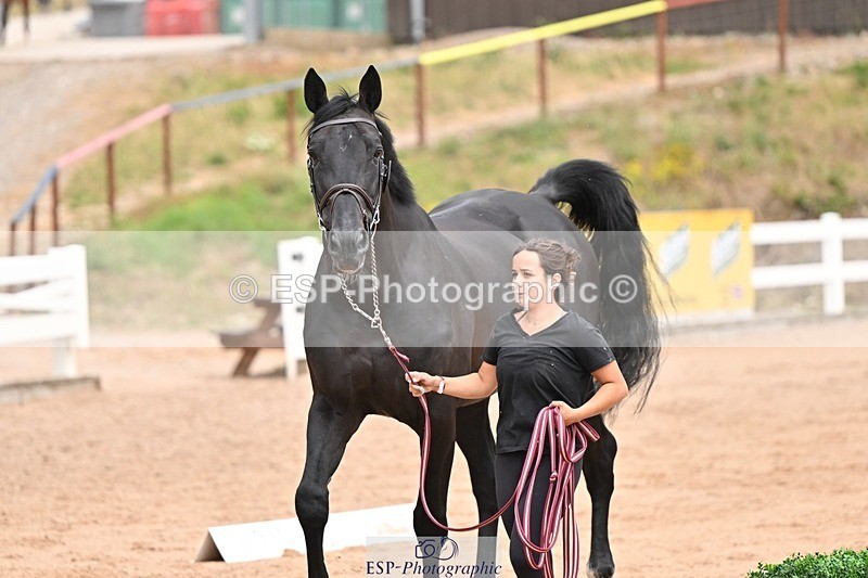 250716-150940-01704 - Trot Up 2.30 to 3.30