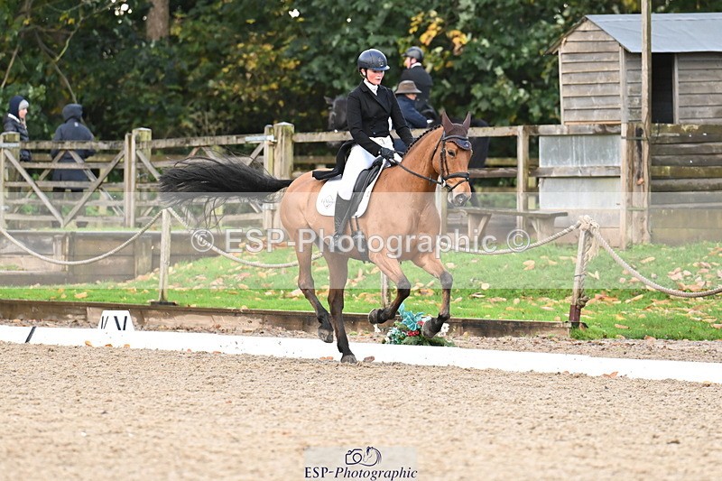 251023A-160656-05998 - B-167-Tabitha.Taylor