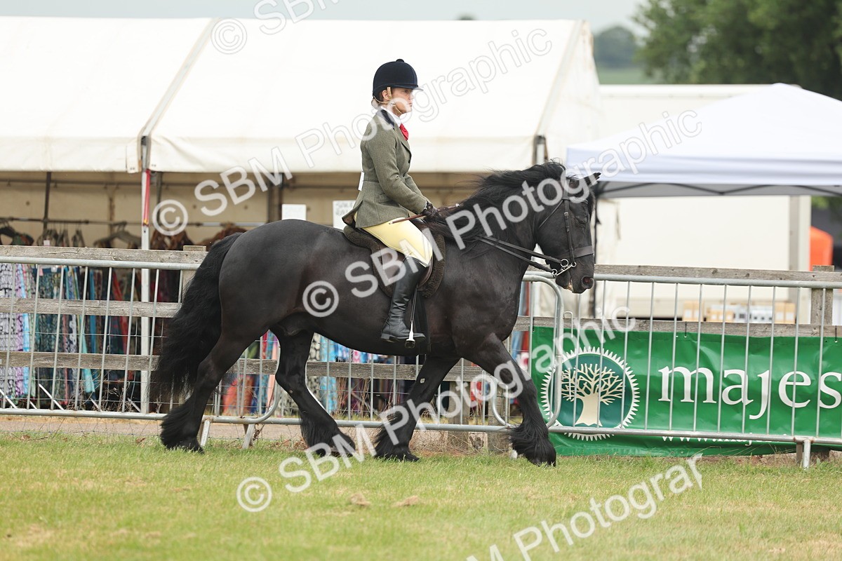 SBM_08924 - Class 78-80 - Ridden M&M Non Welsh Ponies