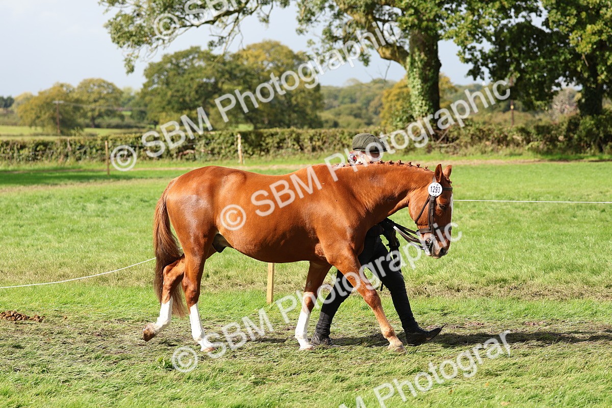 SBM_39416 - S24 - Young Veteran In Hand