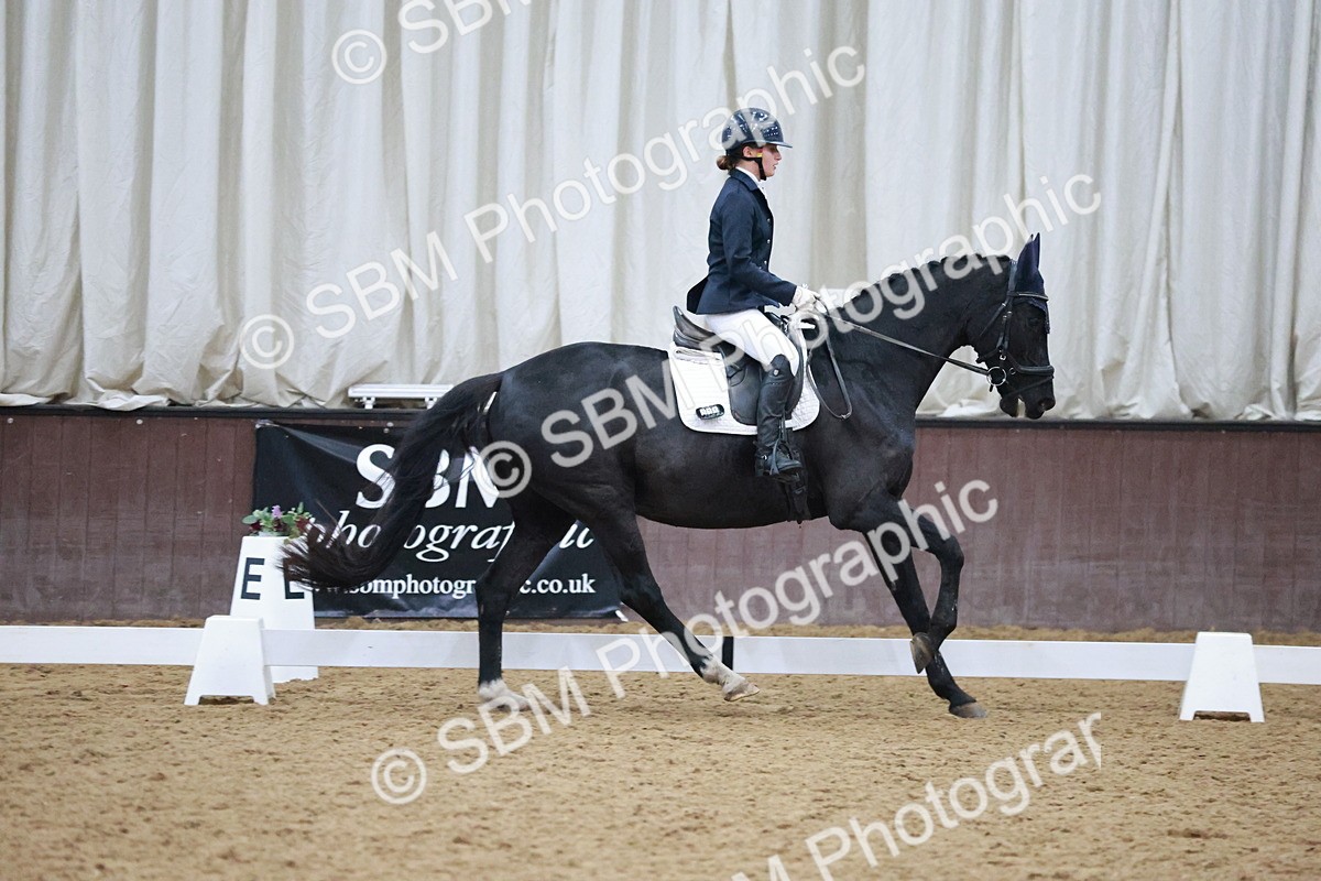 SBM_004711 - Ring 3 - International -  Working Hunter Classes 23-2-25