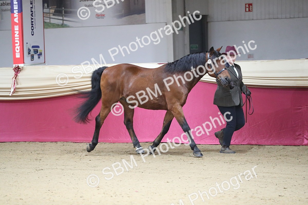 SBM_00255 - Class 1a - Area IH Diamond