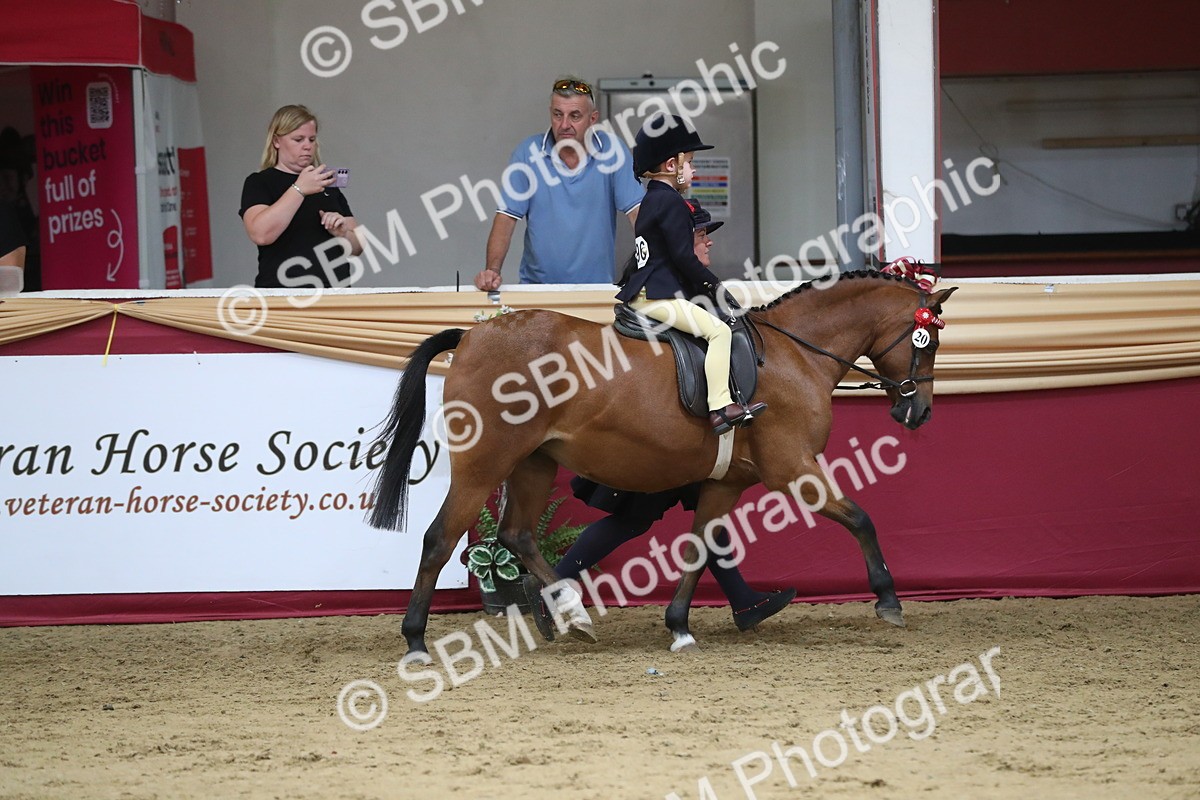 SBM_08367 - Class 11R Regional Ridden Veteran