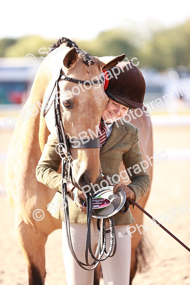 SBM_22084 - Class 703 - IH Coloured