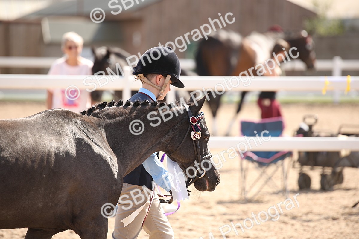 SBM_03093 - Class 17 Prettiest Mare IH or Ridden