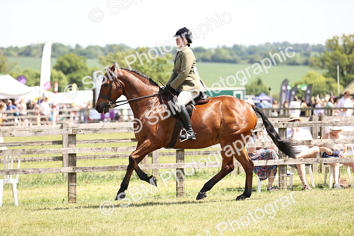 SBM_15099 - Class 79-80 - LIHS BSHA Rising Star Ridden Hunter