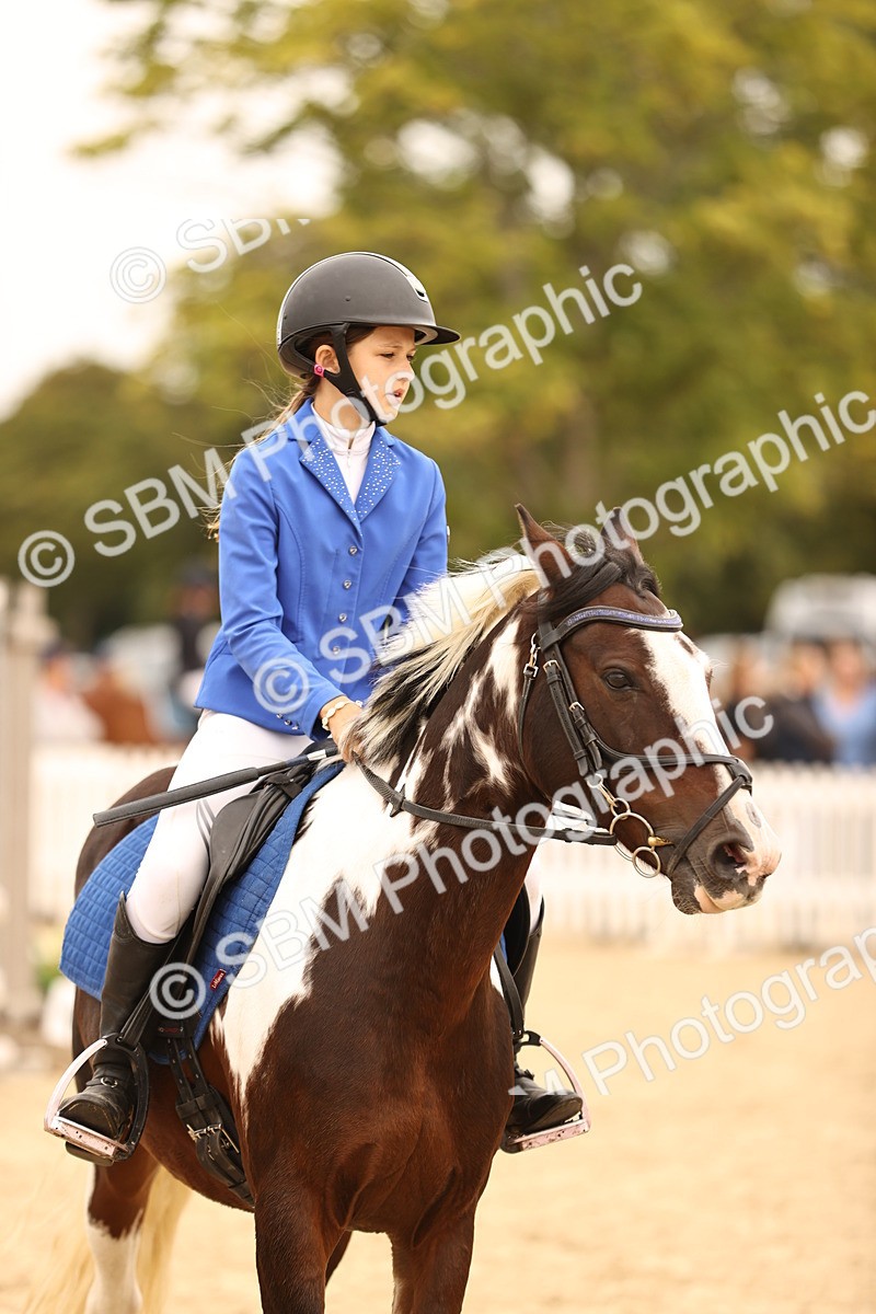 SBM_72571 - J14 - Junior Pony 65cm Championship