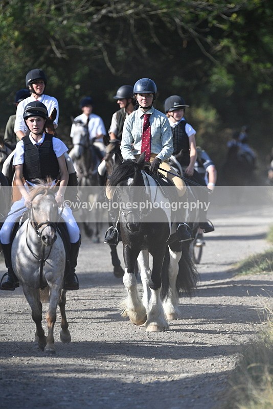 WJ5_4951 - Walk out with the hounds