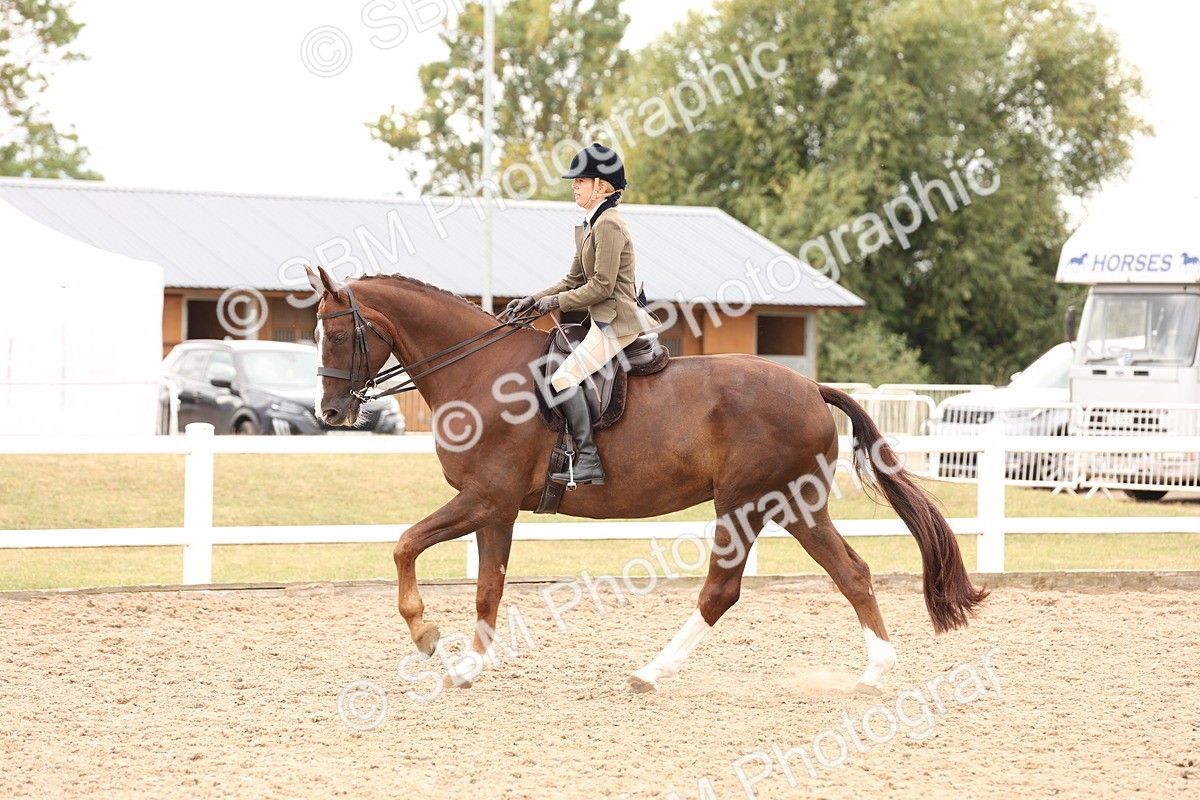 SBM_17238 - Class 213 - Ridden Hunter - Large