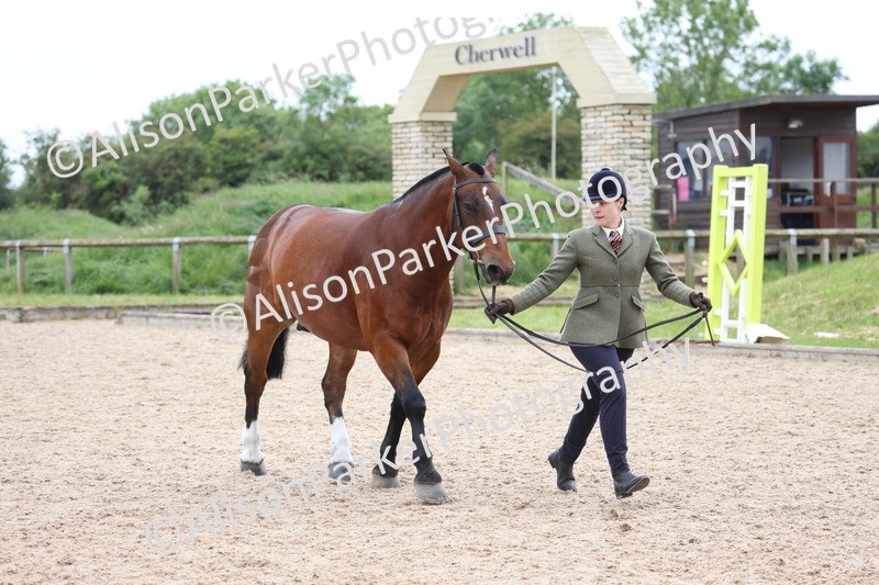 20250524-1018 - Class 9 - Cob and Hunter