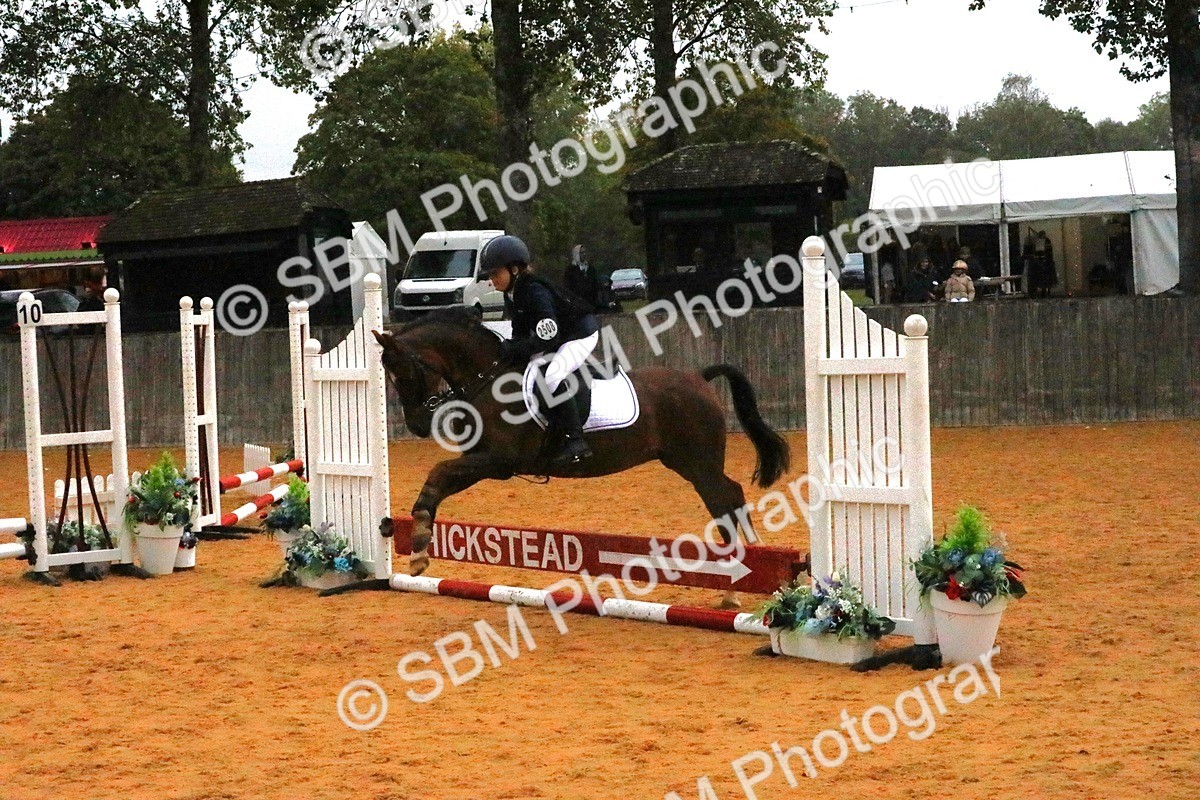 SBM_71532 - J4 - Mini Tour Junior Pony 45cm Championship