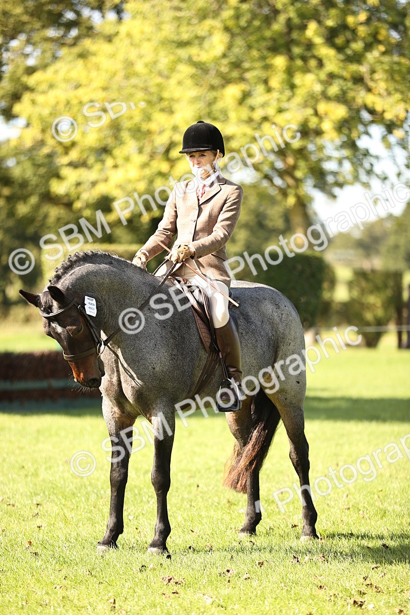 SBM_17002 - S2 - TSR Ridden Pony Showing