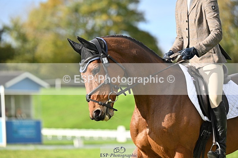 251024A-101415-08003 - F-453-Lucy.Lloyd